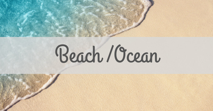 Beach The Inspired Treehouse